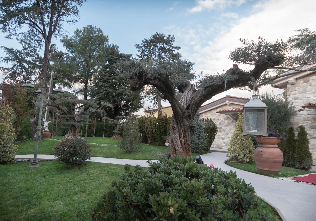 Il Giardino Degli Angeli Guest House Assisi Ngoại thất bức ảnh